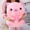 Kawaii Piggy Stuffy | Best Kawaii Shop 2021